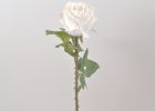 Vrtnica enojna 55cm