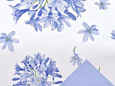 Rola Blue Lily