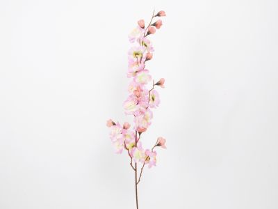 Breskova vejica x21 cvetov 75cm