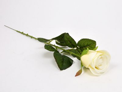 Vrtnica enojna 61cm