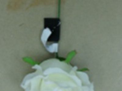 Vrtnica pik zasnežena 30cm