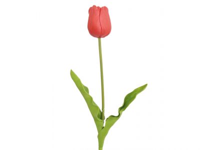 Tulipan 68cm