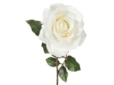 Vrtnica enojna 60cm