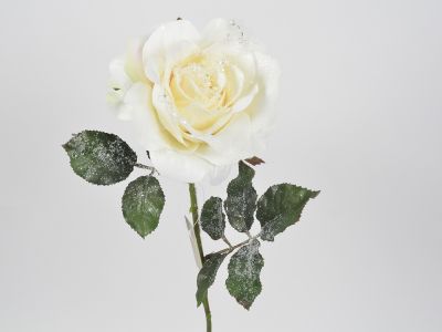 Vrtnica enojna zamrznjena 58cm