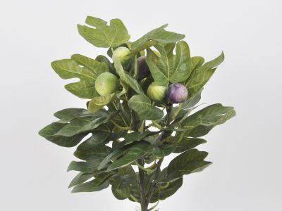 Figa veja s 7 plodov in listjem x3