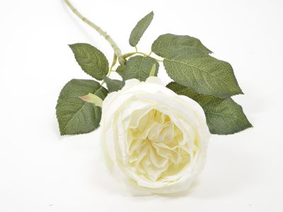 Vrtnica enojna 65cm
