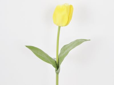Tulipan vejica 48cm
