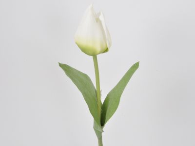 Tulipan vejica 46cm
