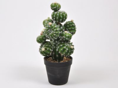 Kaktus v črni vazi 33cm