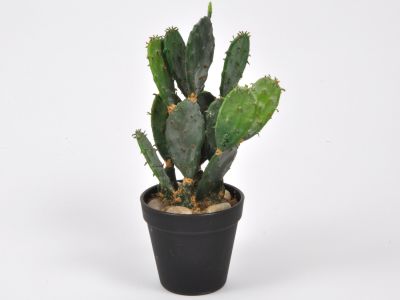Kaktus v črni vazi 32cm