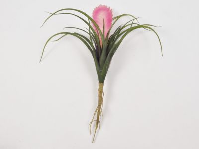 Tilandsija s cvetom pik 29cm
