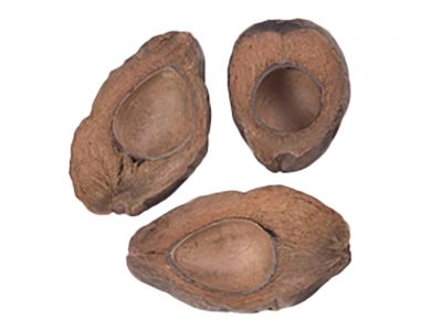 Kokosova skodelica