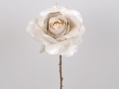 Vrtnica vejica 60cm