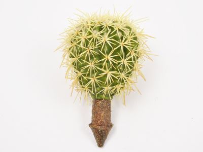 Kaktus 17,5cm
