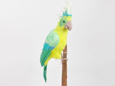 Papagaj 46x13x14cm
