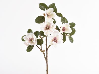 Magnolija vejica x5 cvetov 71cm