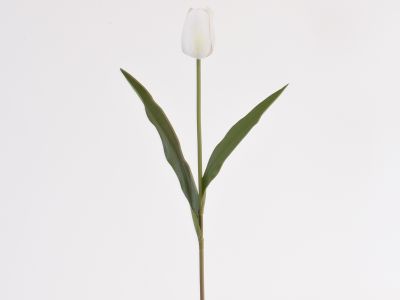 Tulipan vejica 63cm