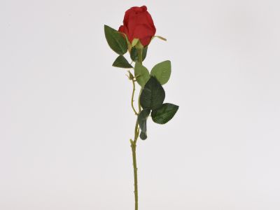 Vrtnica vejica 66cm