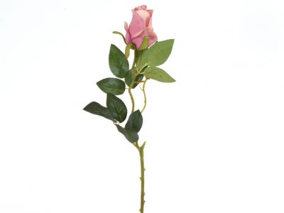 Vrtnica vejica 66cm