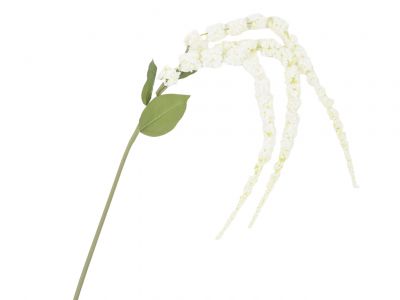 Amarantus vejica 105cm