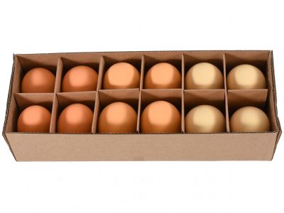Jajca 12kos rb v škatlici