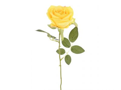 Vrtnica enojna 75cm