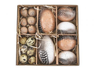 Eggs /18pcs in box