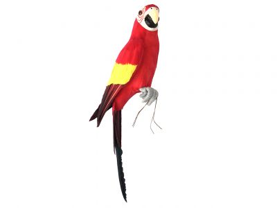 Parrot 42x10x13cm