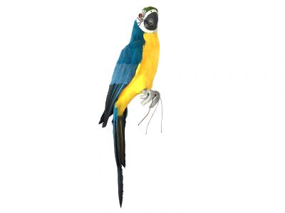 Parrot 42x10x13cm