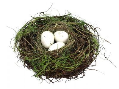 Nest with eggs 16cm
