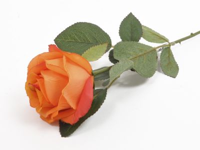 Vrtnica vejica 68cm