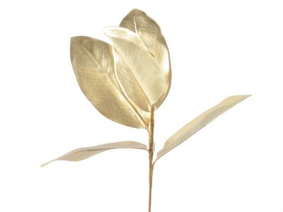 Magnolija list 50cm