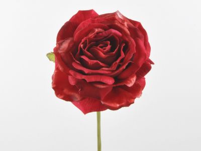 Vrtnica pik 25cm