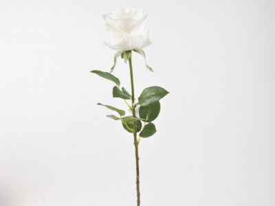 Vrtnica vejica  rt 69cm