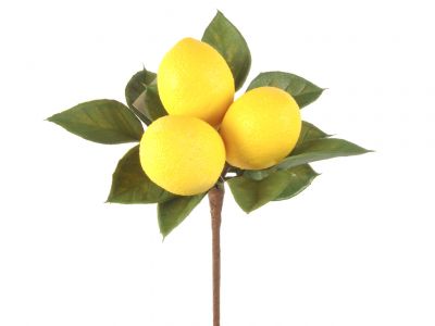Limonina vejica pik x3 limone 23cm