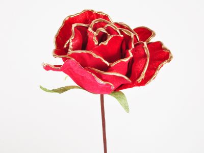 Vrtnica pik 6kos 20cm