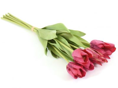 Tulipan šopek x7, 55cm