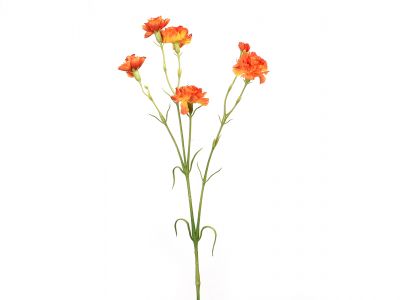 Nagelj vejica x4, 6 cvetov 62cm