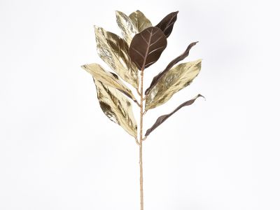 List magnolije 81cm