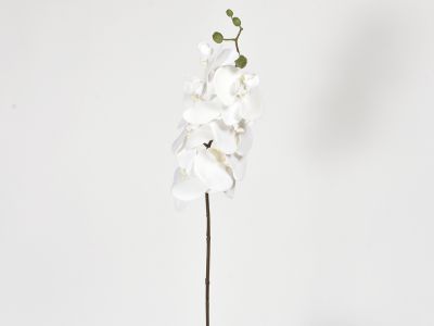 Orhideja phalaenopsis 89cm