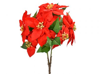 Božična zvezda šopek x3, 6 cvetov 48cm
