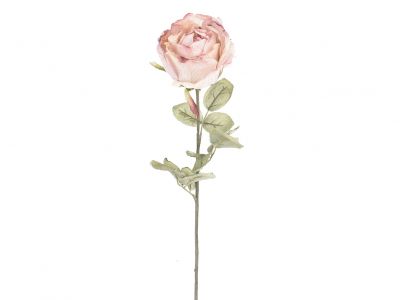 Vrtnica enojna 72cm