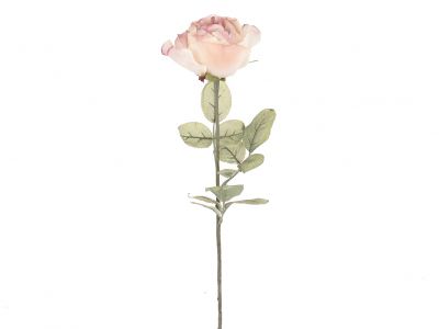 Vrtnica enojna 71,1cm