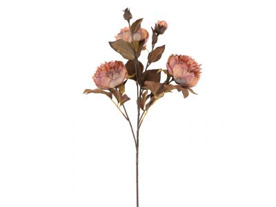 Peonija vejica x5 cvetov 54cm