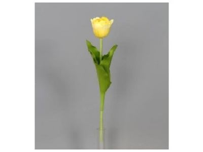 Tulipan enojni 49cm