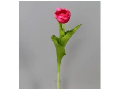 Tulipan enojni 49cm