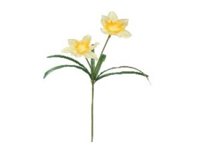 Narcisa vejica x3 52cm