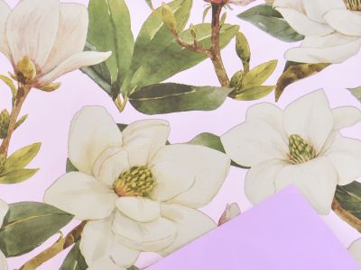 Rola Magnolia