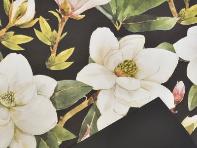 Rola magnolia
