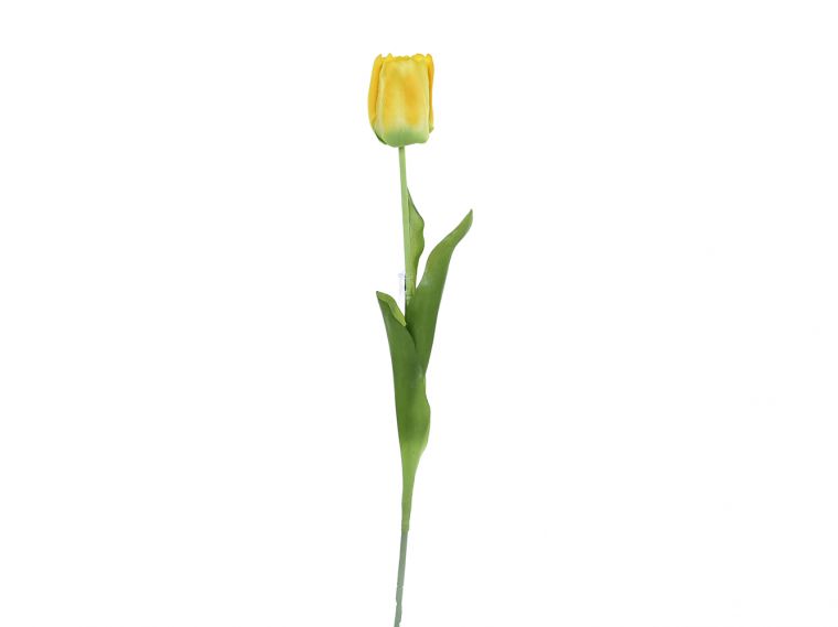 Tulipan enojni 64cm